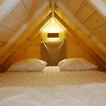 Tiny House Et Tentes En Coton Dans La Pinede