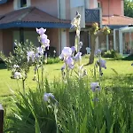 Villa Helianthe