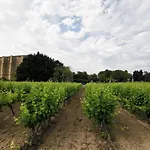 Sejour Au Calme Au Milieu Des Vignes