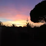 Le Serpent De Mer