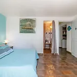 Le Patio Des Mimosas Par Dodo-A-Cassis