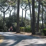 Camping Le Bois D'Amour