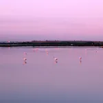 Studio Le 233 Port Camargue, Piscine, 4 Personnes