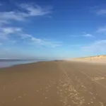 Etoile De Mer 7