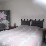 Orchidee