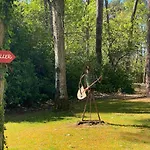 Le Petit Poulailler Au Beau Milieu Des Pins