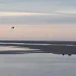 Vue Exceptionnelle Sur La Baie De Somme