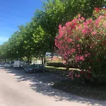 Aloha