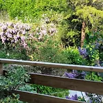 Grande Terrasse Arboree