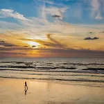 Entre Pins Et Mer