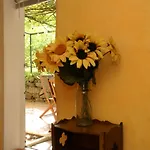 Holiday Home In Six Fours Les Plages With Terrace