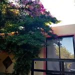 La Escondida