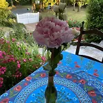 Maison Avec Jardin Arbore