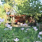 Domaine Sesquier Mas D'Exception Pivoine