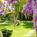 La Cabane D'Arbolateia Piscine & Spa