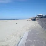 Calypso 3