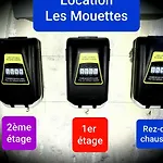 Les Mouettes
