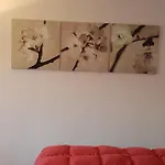 Studio Naturiste 