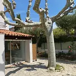 Arche De Portissol Sanary Appartement De Charme 4 A 6 Personnes
