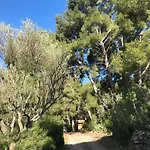 Les Pins