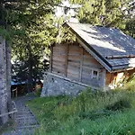 Chalet Montagnard A Courchevel 1850 - 8 Pers., Proche Des Pistes, Cheminee, Hammam - Fr-1-631-49