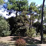 Maison Charmante Aux Mathes Avec Jardin Cloture.