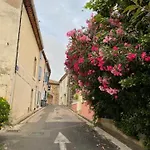 T2 Le Flamand Rose