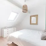 Calais Bois Blanc - Centre-Ville - Premium