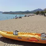 Les Ecureuils A La Mer