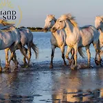 Le Plein Sud