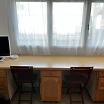 Bel Appartement Plein Centre A 200 M De La Plage