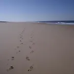 Location Landes Mimizan Plage