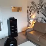 Domino