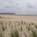 Dune