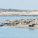 Osanjes Berck Plage