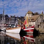 Les Mouettes Du Port