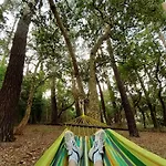 La Maison De Maritxu - Entre Plage Et Foret - Landes - Pays Basque