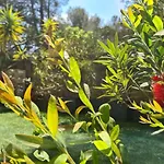 Jardin Prive Ds Le Centre De Cassis - Parking - Plage A 500M