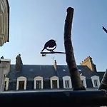 Le Phare Dieppois By Jps Holiday, Chaleureux Appartement Au Coeur De Dieppe