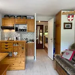 Studio Charmant Avec Coin Montagne, Acces Ski, Parking Et Wifi A La Clusaz - Fr-1-437-93