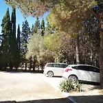 Le Cypres