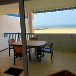 Les Goelands De L'Ocean