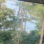 Villa 30Metres Bassin L'Herbe Cap Ferret