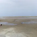 La Feuilleraie, La Franqui