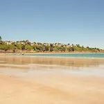 Jonc De Mer