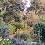 Saintval4You Maison De Charme Au Centre Avec Jardin, P 1 Voiture Gratuit