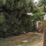 Villa Family Surf Sur Un Terrain Arboree Et Clos, Calme Et Repos