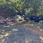 Grand Mobile Home Dans Camping