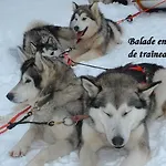 Aux Pieds Des Cimes