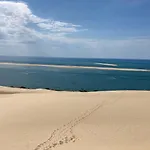 :Le Tchanque Du Bassin D'Arcachon